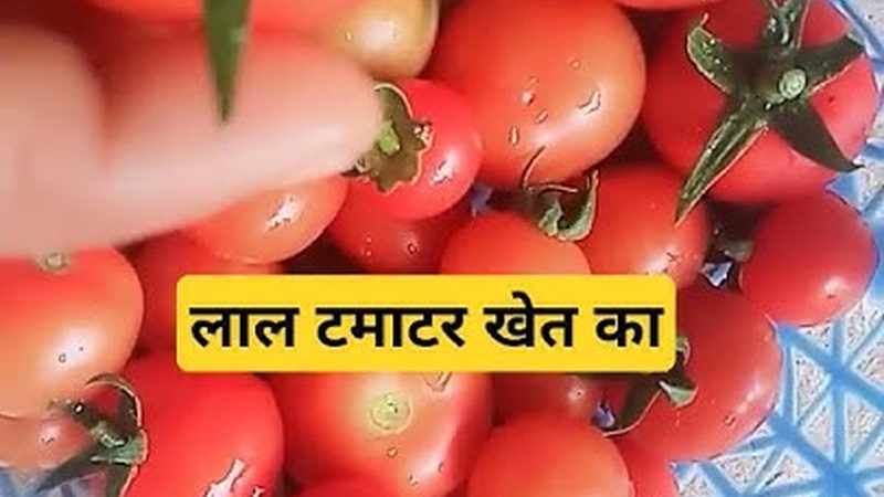 在准备材料时，以下事项需要注意：